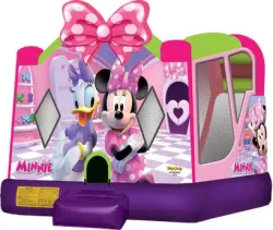 Minnie Mouse Combo C4 wet/dry