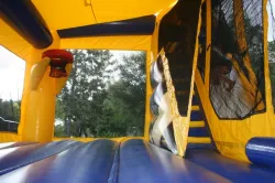 temp img 1 jpeg 669434522 Castle Combo C4 wet/dry